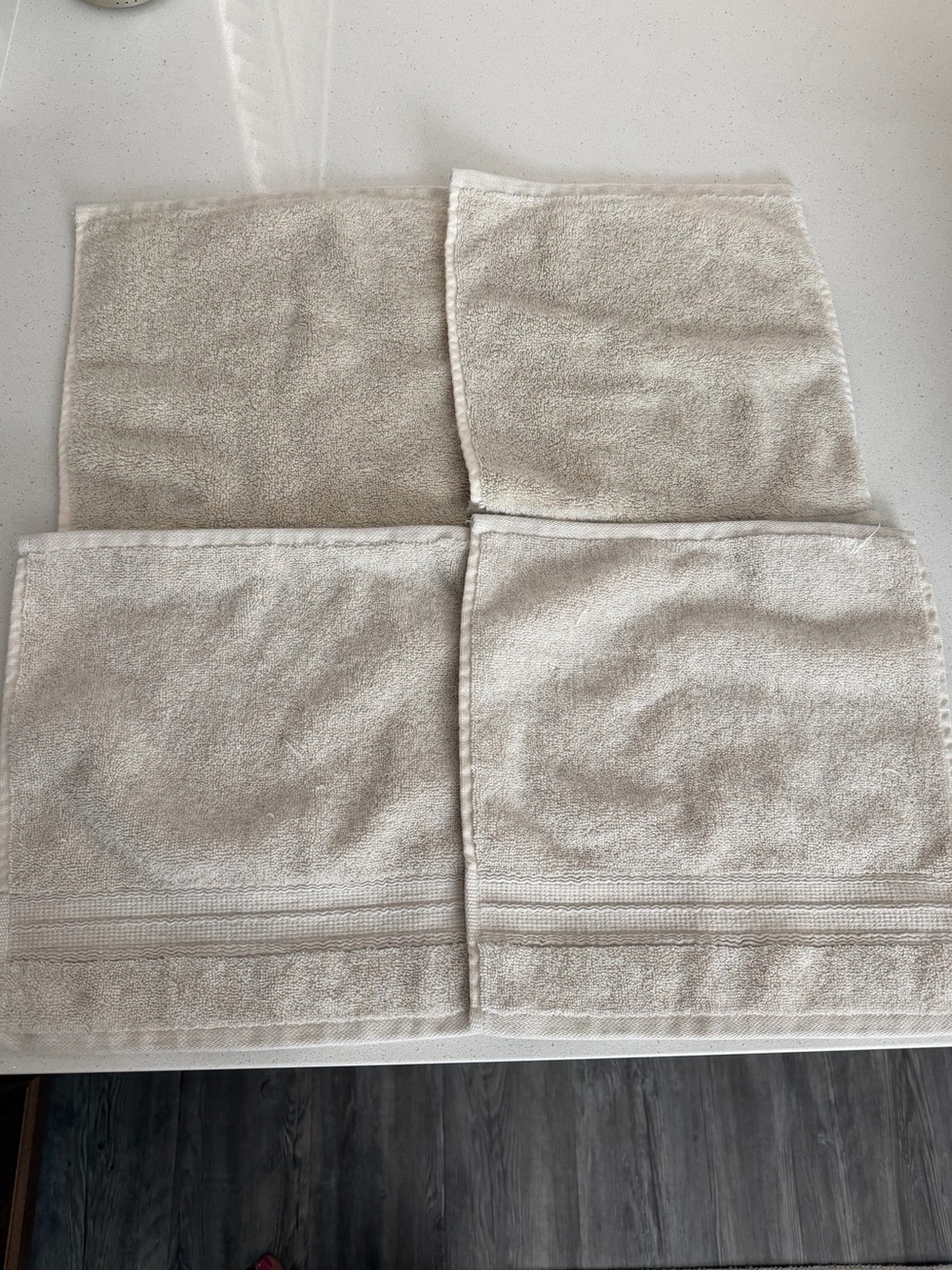Pottery Barn Hydrocotton Organic Washcloth